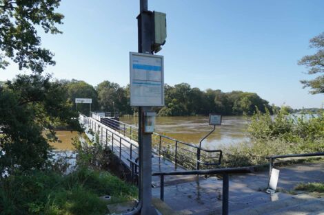 Anlegestelle Elbe Weiße Flotte - Anfahrt Kantine Pillnitz - © AW